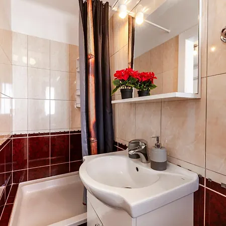 Viki دوبروفينك